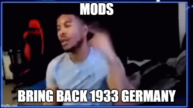 Mods ban him | MODS; BRING BACK 1933 GERMANY | image tagged in mods ban him,shitpost | made w/ Imgflip meme maker