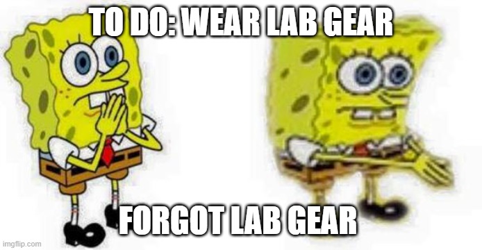 Spongebob *Inhale* Boi | TO DO: WEAR LAB GEAR; FORGOT LAB GEAR | image tagged in spongebob inhale boi | made w/ Imgflip meme maker