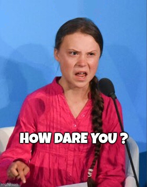 Greta Thunberg how dare you | HOW DARE YOU ? | image tagged in greta thunberg how dare you | made w/ Imgflip meme maker
