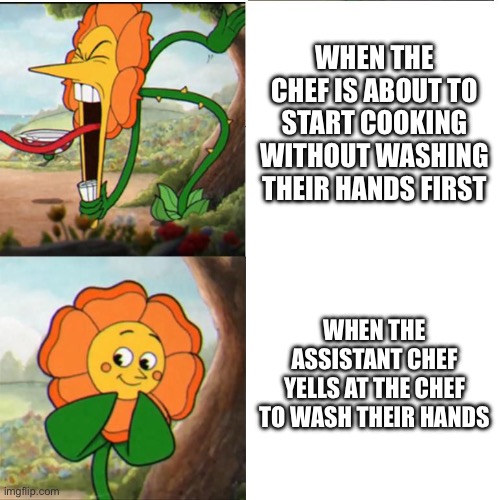 Cuphead Flower | WHEN THE CHEF IS ABOUT TO START COOKING WITHOUT WASHING THEIR HANDS FIRST; WHEN THE ASSISTANT CHEF YELLS AT THE CHEF TO WASH THEIR HANDS | image tagged in cuphead flower | made w/ Imgflip meme maker