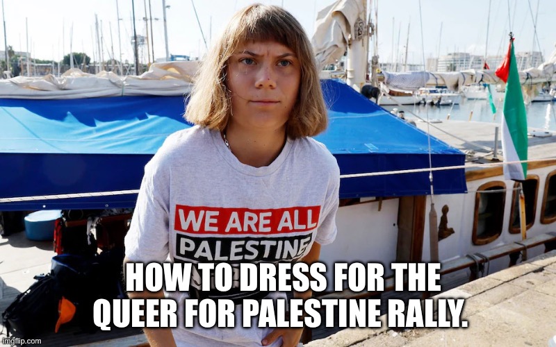 Queers for Palestine | HOW TO DRESS FOR THE QUEER FOR PALESTINE RALLY. | image tagged in greta thunberg with he-man hair | made w/ Imgflip meme maker