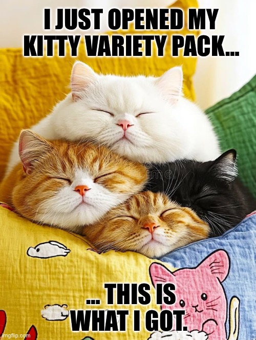 They manage to squeeze a lot of cat into those variety packs… | I JUST OPENED MY KITTY VARIETY PACK…; … THIS IS
WHAT I GOT. | image tagged in cats,variety pack,what i got | made w/ Imgflip meme maker