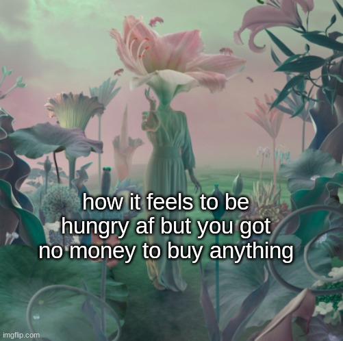 how it feels to be hungry af but you got no money to buy anything | made w/ Imgflip meme maker