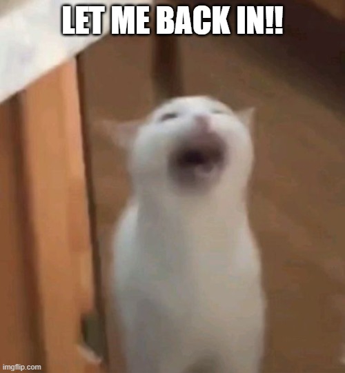 yeah, nah, i havent been here a while, wsg! | LET ME BACK IN!! | image tagged in screaming cat | made w/ Imgflip meme maker