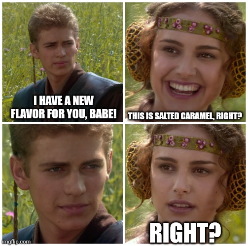I’m going to change the world. For the better right? Star Wars. | I HAVE A NEW FLAVOR FOR YOU, BABE! THIS IS SALTED CARAMEL, RIGHT? RIGHT? | image tagged in i m going to change the world for the better right star wars | made w/ Imgflip meme maker