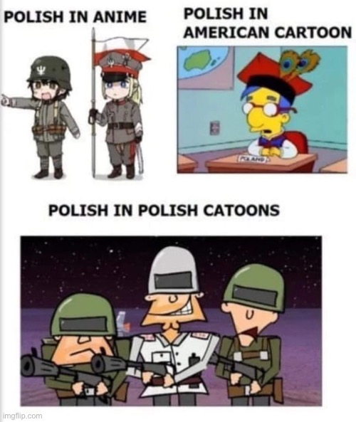 Polish in anime | image tagged in anime,poland,cartoon | made w/ Imgflip meme maker
