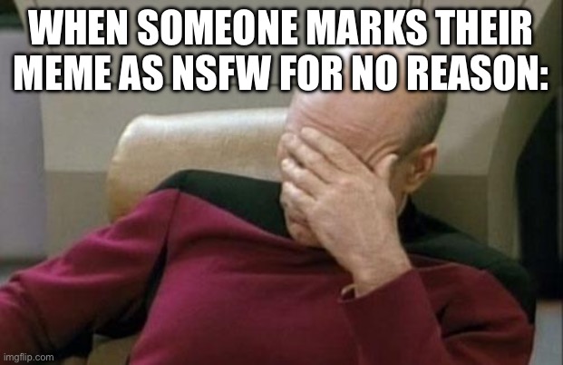 lol. not like this meme has nsfw marked. | WHEN SOMEONE MARKS THEIR MEME AS NSFW FOR NO REASON: | image tagged in memes,captain picard facepalm | made w/ Imgflip meme maker