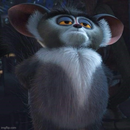 Maurice | image tagged in maurice | made w/ Imgflip meme maker