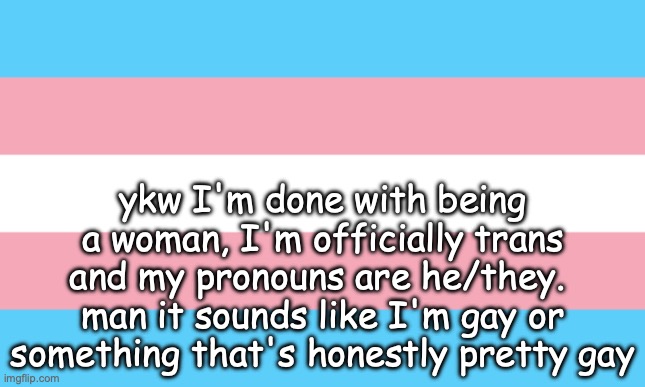 :3 | ykw I'm done with being a woman, I'm officially trans and my pronouns are he/they.  man it sounds like I'm gay or something that's honestly pretty gay | image tagged in trans flag | made w/ Imgflip meme maker
