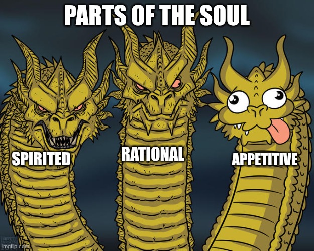 Three-headed Dragon | PARTS OF THE SOUL; RATIONAL; SPIRITED; APPETITIVE | image tagged in three-headed dragon | made w/ Imgflip meme maker