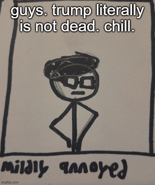you wish | guys. trump literally is not dead. chill. | image tagged in mildly annoyed | made w/ Imgflip meme maker