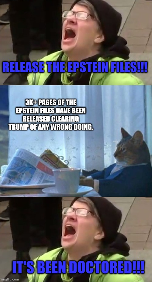 RELEASE THE EPSTEIN FILES!!! 3K+ PAGES OF THE EPSTEIN FILES HAVE BEEN RELEASED CLEARING TRUMP OF ANY WRONG DOING. IT'S BEEN DOCTORED!!! | image tagged in screaming liberal,cat newspaper | made w/ Imgflip meme maker