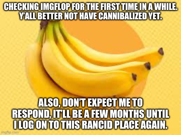 I still have discord. | CHECKING IMGFLOP FOR THE FIRST TIME IN A WHILE.
Y’ALL BETTER NOT HAVE CANNIBALIZED YET. ALSO, DON’T EXPECT ME TO RESPOND, IT’LL BE A FEW MONTHS UNTIL I LOG ON TO THIS RANCID PLACE AGAIN. | image tagged in gay,burger,banana | made w/ Imgflip meme maker