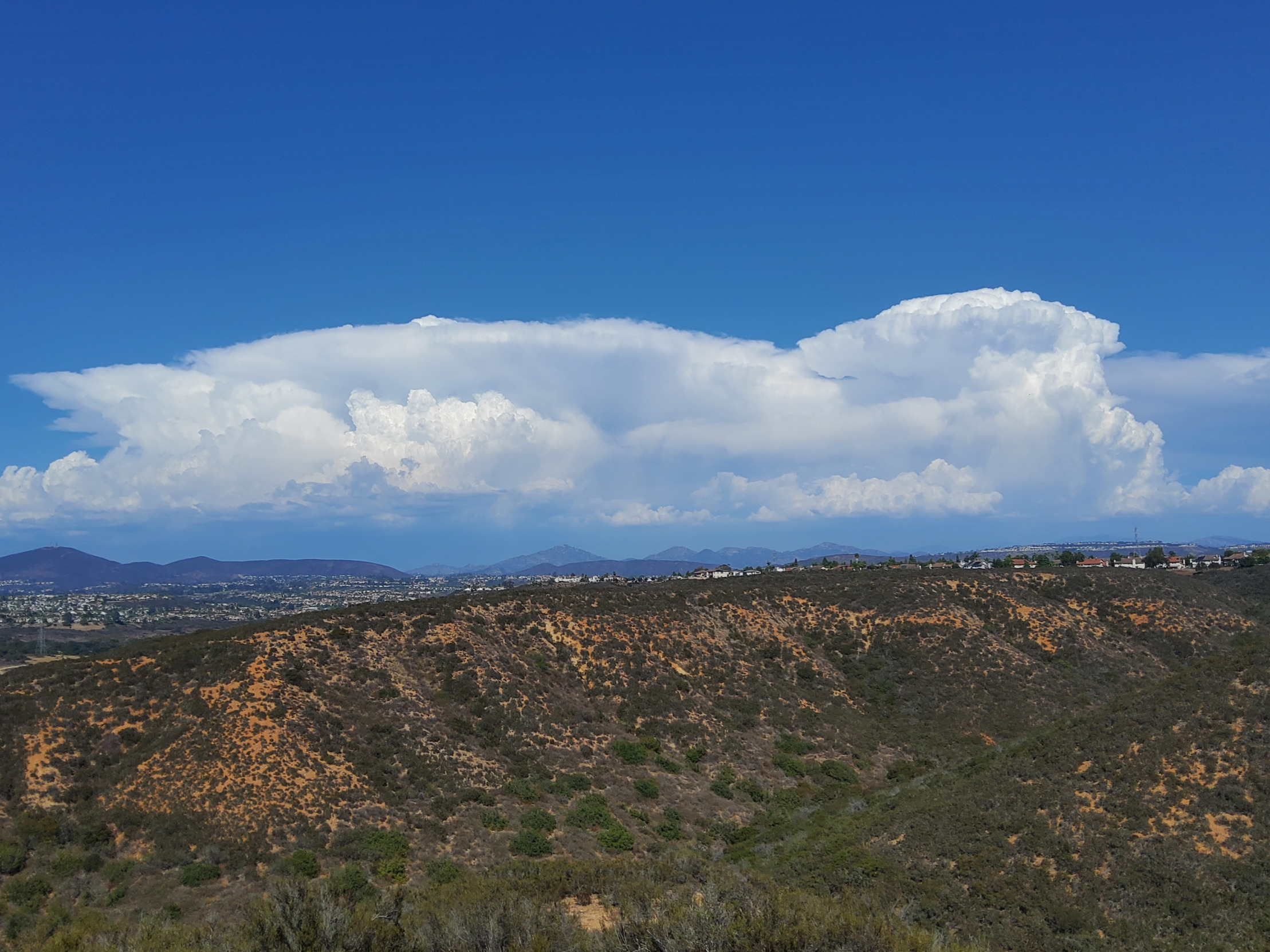 Cloud dog Blank Meme Template
