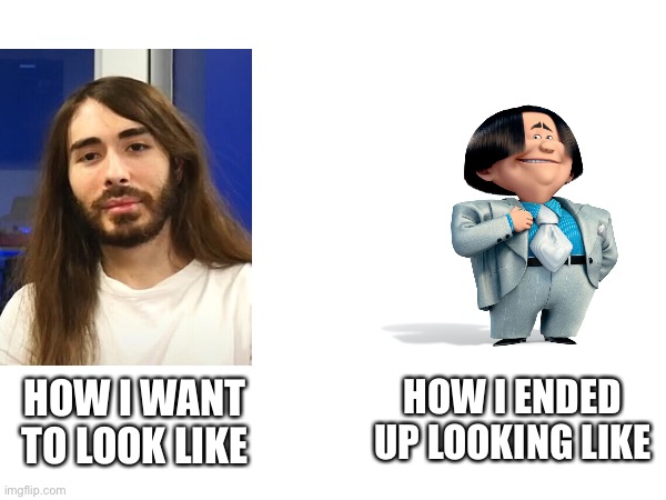 HOW I WANT TO LOOK LIKE; HOW I ENDED UP LOOKING LIKE | made w/ Imgflip meme maker