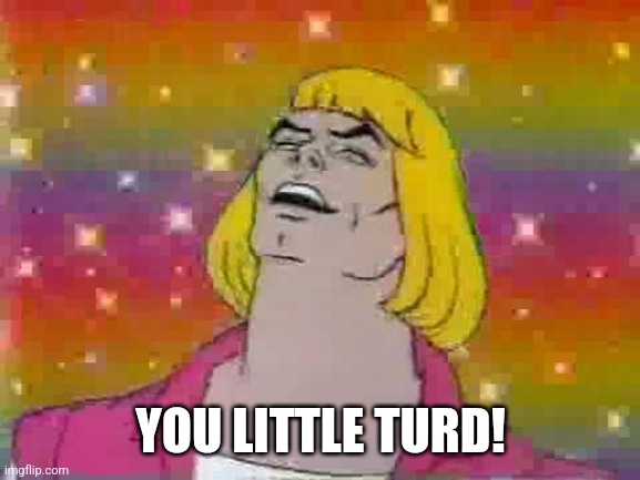 He man | YOU LITTLE TURD! | image tagged in he man | made w/ Imgflip meme maker