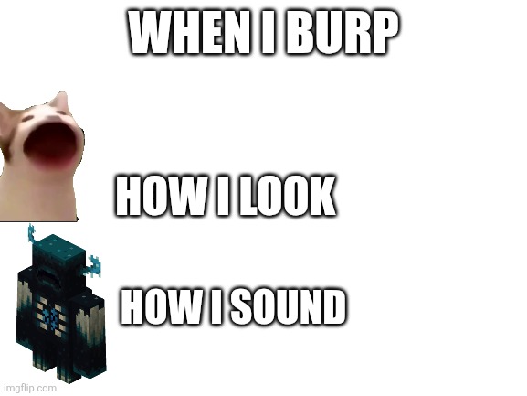 I literally sound like a Minecraft warden when I burp | WHEN I BURP; HOW I LOOK; HOW I SOUND | image tagged in blank white template,burp,why,sound,rhymes with grug | made w/ Imgflip meme maker