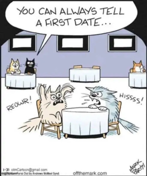First date | image tagged in repost,first date | made w/ Imgflip meme maker