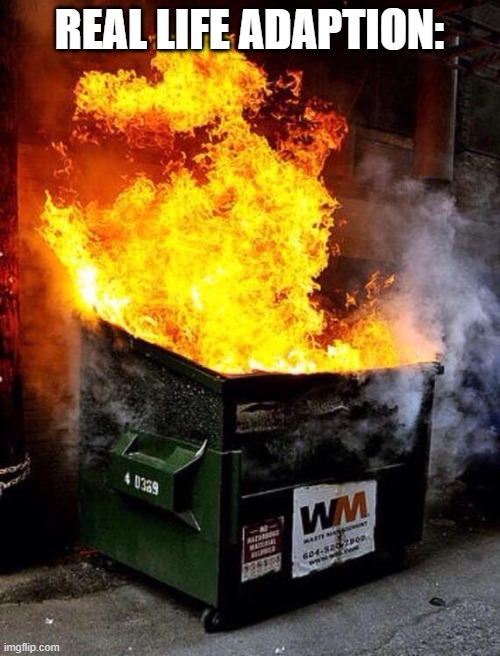 Dumpster Fire | REAL LIFE ADAPTION: | image tagged in dumpster fire | made w/ Imgflip meme maker