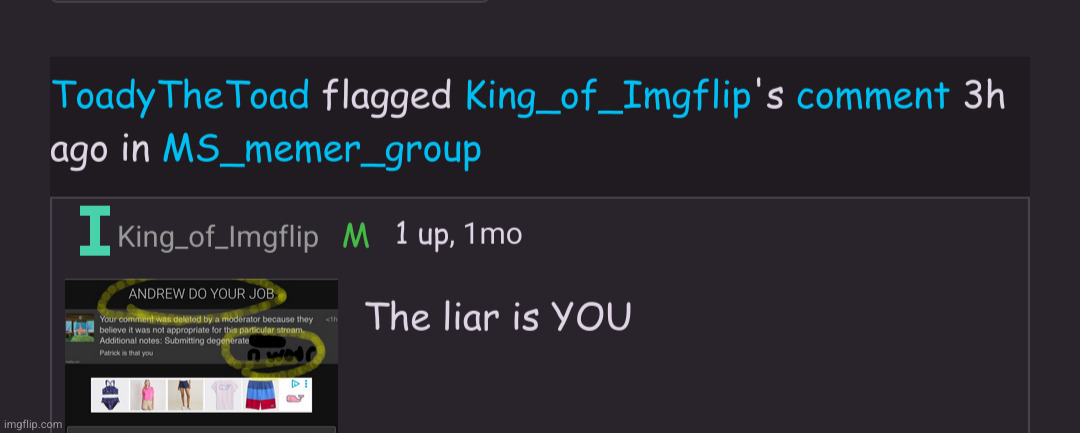 me when i flag a sitemods month old comment in their own stream because im mad | made w/ Imgflip meme maker