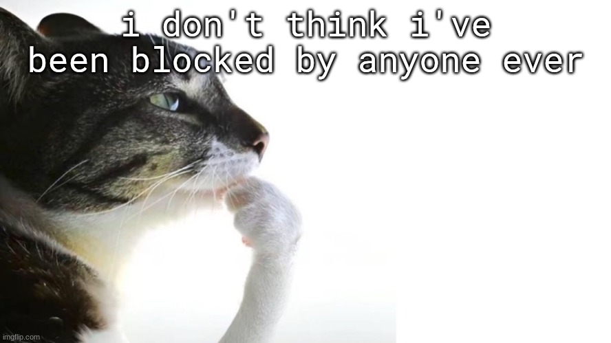 ​ | i don't think i've been blocked by anyone ever | image tagged in thinker | made w/ Imgflip meme maker