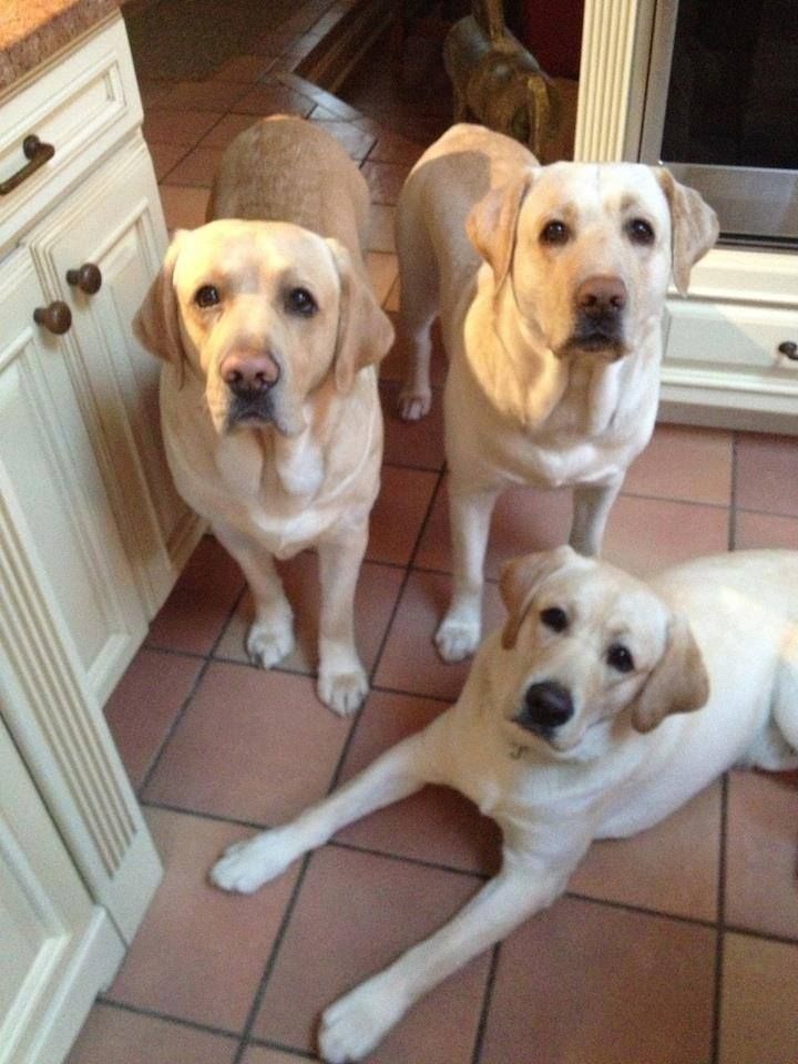 Chrisjoines1 Blank Meme Template