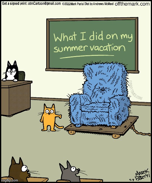 Looks like he had a busy summer vacation… | image tagged in cats,comics,summer vacation,off the mark,clawed chair | made w/ Imgflip meme maker
