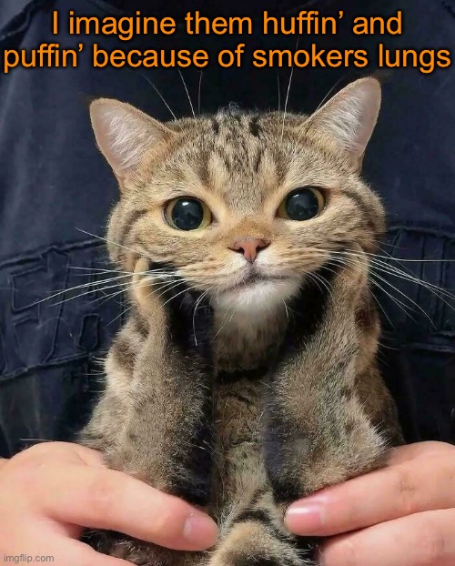 I imagine them huffin’ and puffin’ because of smokers lungs | made w/ Imgflip meme maker