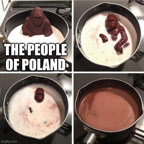 chocolate gorilla | THE PEOPLE OF POLAND | image tagged in chocolate gorilla | made w/ Imgflip meme maker