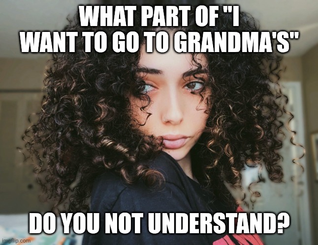 Rainy Reina | WHAT PART OF "I WANT TO GO TO GRANDMA'S"; DO YOU NOT UNDERSTAND? | image tagged in meme,memes,funny memes | made w/ Imgflip meme maker