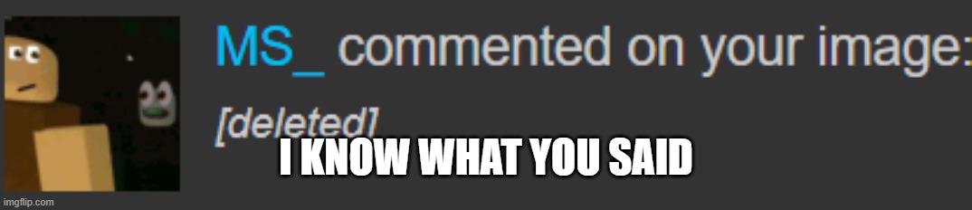 I KNOW WHAT YOU SAID | made w/ Imgflip meme maker