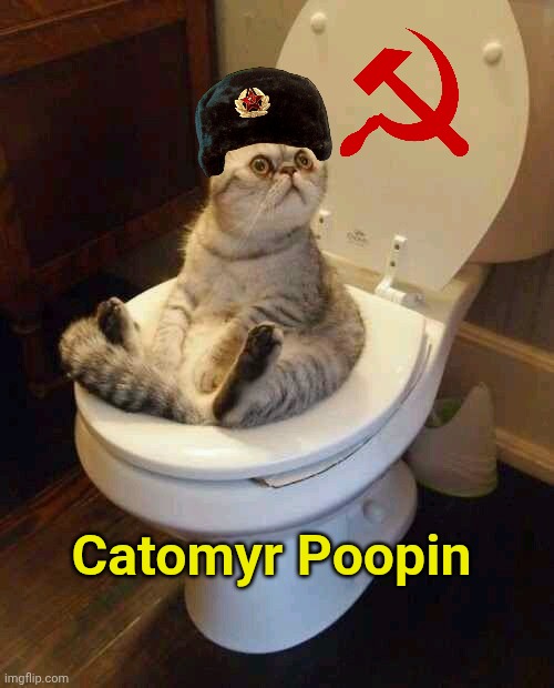 Like Vladimir Putin... Cat pun. | Catomyr Poopin | image tagged in toilet cat | made w/ Imgflip meme maker