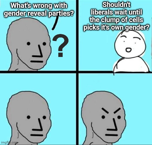 NPC Meme | Shouldn't liberals wait until the clump of cells picks it's own gender? What's wrong with gender reveal parties? | image tagged in npc meme | made w/ Imgflip meme maker