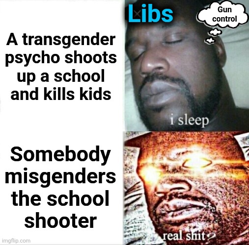 Sleeping libs | Libs; Gun
control; A transgender
psycho shoots
up a school
and kills kids; Somebody
misgenders
the school
shooter | image tagged in memes,sleeping shaq,school shooter,democrats,transgender,misgender | made w/ Imgflip meme maker