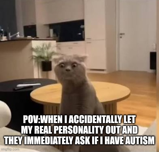 POV:WHEN I ACCIDENTALLY LET MY REAL PERSONALITY OUT AND THEY IMMEDIATELY ASK IF I HAVE AUTISM | made w/ Imgflip meme maker