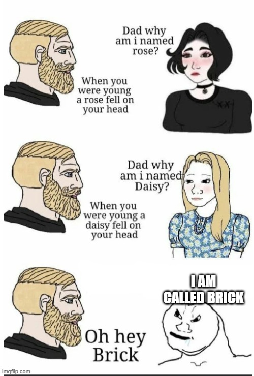 oh hey brick | I AM CALLED BRICK | image tagged in oh hey brick,antimeme | made w/ Imgflip meme maker