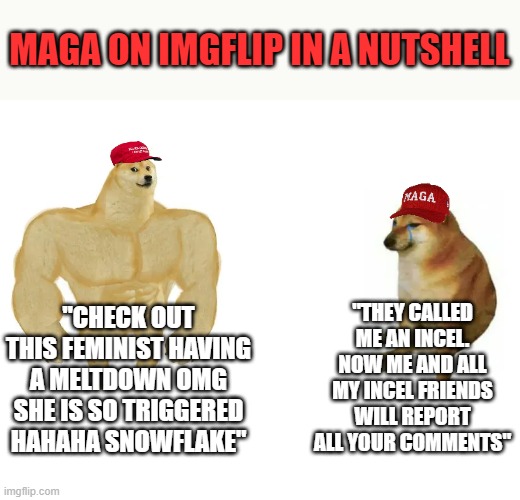 lol! | MAGA ON IMGFLIP IN A NUTSHELL; "THEY CALLED ME AN INCEL. NOW ME AND ALL MY INCEL FRIENDS WILL REPORT ALL YOUR COMMENTS"; "CHECK OUT THIS FEMINIST HAVING A MELTDOWN OMG SHE IS SO TRIGGERED HAHAHA SNOWFLAKE" | image tagged in maga,man-babies,weak,bullies | made w/ Imgflip meme maker