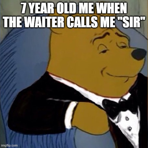Fancy Pooh | 7 YEAR OLD ME WHEN THE WAITER CALLS ME "SIR" | image tagged in fancy pooh | made w/ Imgflip meme maker