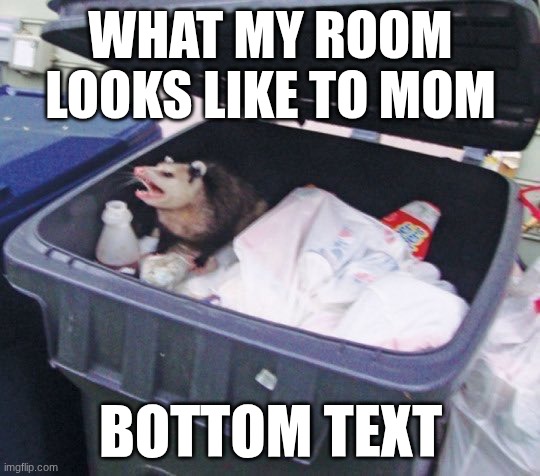 Awesome Opossum | WHAT MY ROOM LOOKS LIKE TO MOM; BOTTOM TEXT | image tagged in awesome opossum | made w/ Imgflip meme maker