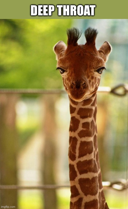 Deep Throat | DEEP THROAT | image tagged in no comment giraffe | made w/ Imgflip meme maker