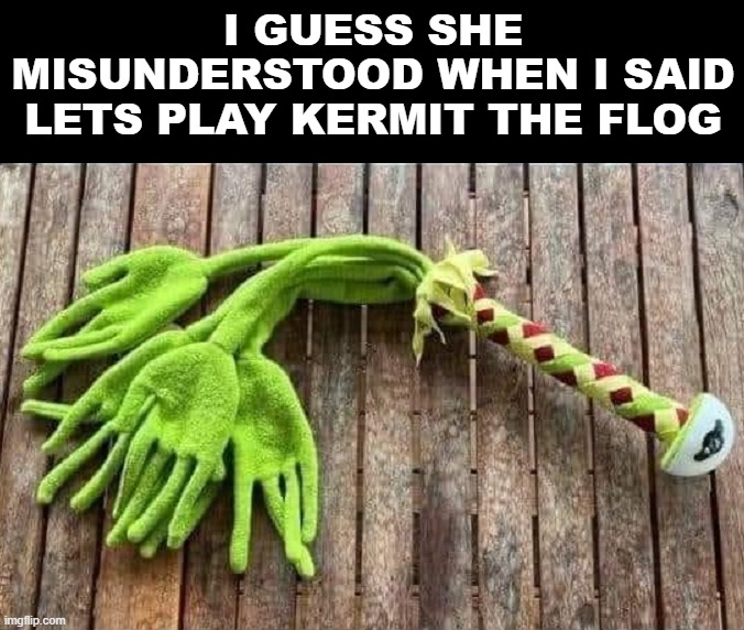 I GUESS SHE MISUNDERSTOOD WHEN I SAID LETS PLAY KERMIT THE FLOG | image tagged in kermit the frog,misunderstood | made w/ Imgflip meme maker