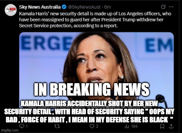 too far ? | IN BREAKING NEWS; KAMALA HARRIS ACCIDENTALLY SHOT BY HER NEW SECURITY DETAIL , WITH HEAD OF SECURITY SAYING " OOPS MY BAD , FORCE OF HABIT , I MEAN IN MY DEFENSE SHE IS BLACK  " | made w/ Imgflip meme maker