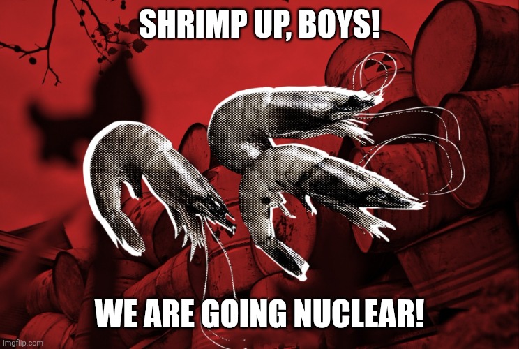 SHRIMP UP, BOYS! WE ARE GOING NUCLEAR! | image tagged in memes,shrimp,seal | made w/ Imgflip meme maker