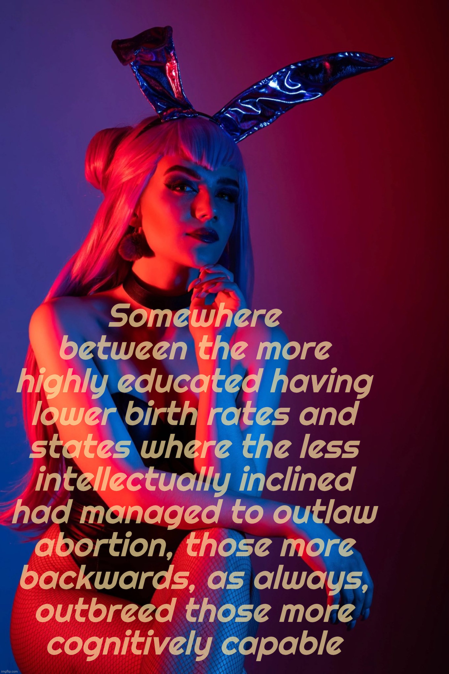 Evelynn K/DA | Somewhere
between the more
highly educated having
lower birth rates and
states where the less
intellectually inclined
had managed to outlaw
 | image tagged in evelynn k/da | made w/ Imgflip meme maker