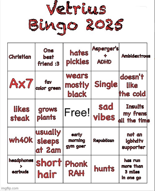 made a bingo yall, would appreciate it if some of you fellas did it | image tagged in vetrius bingo 2025 | made w/ Imgflip meme maker