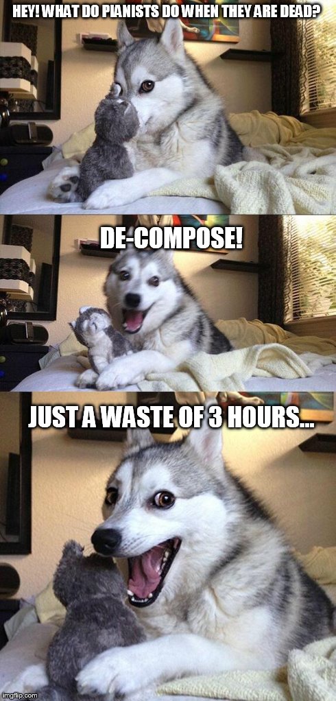 A Bad Pun Indeed... | HEY! WHAT DO PIANISTS DO WHEN THEY ARE DEAD? DE-COMPOSE! JUST A WASTE OF 3 HOURS... | image tagged in memes,bad pun dog | made w/ Imgflip meme maker