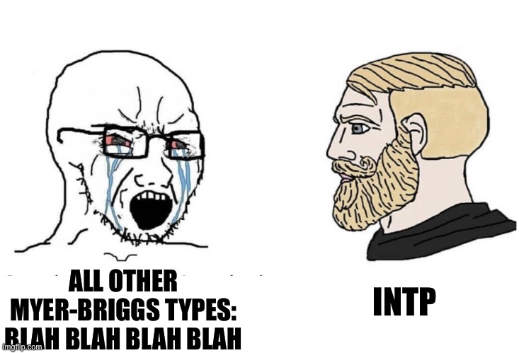 Soyboy Vs Yes Chad | ALL OTHER MYER-BRIGGS TYPES: BLAH BLAH BLAH BLAH INTP | image tagged in soyboy vs yes chad | made w/ Imgflip meme maker