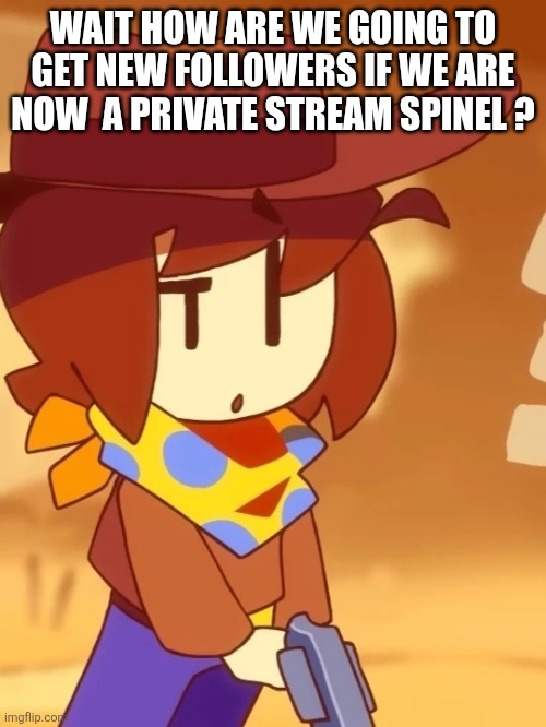 Confused clover | WAIT HOW ARE WE GOING TO GET NEW FOLLOWERS IF WE ARE NOW  A PRIVATE STREAM SPINEL ? | image tagged in confused clover | made w/ Imgflip meme maker