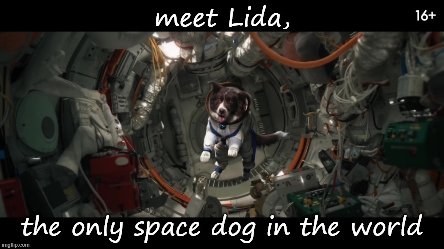 Space dog | meet Lida, the only space dog in the world | image tagged in space,dog | made w/ Imgflip meme maker