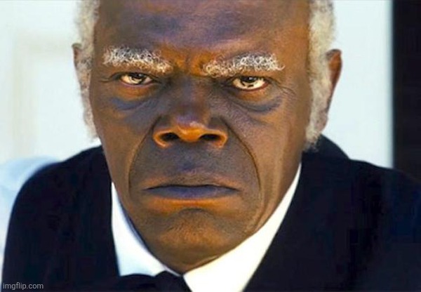Samuel l jackson django | image tagged in samuel l jackson django | made w/ Imgflip meme maker